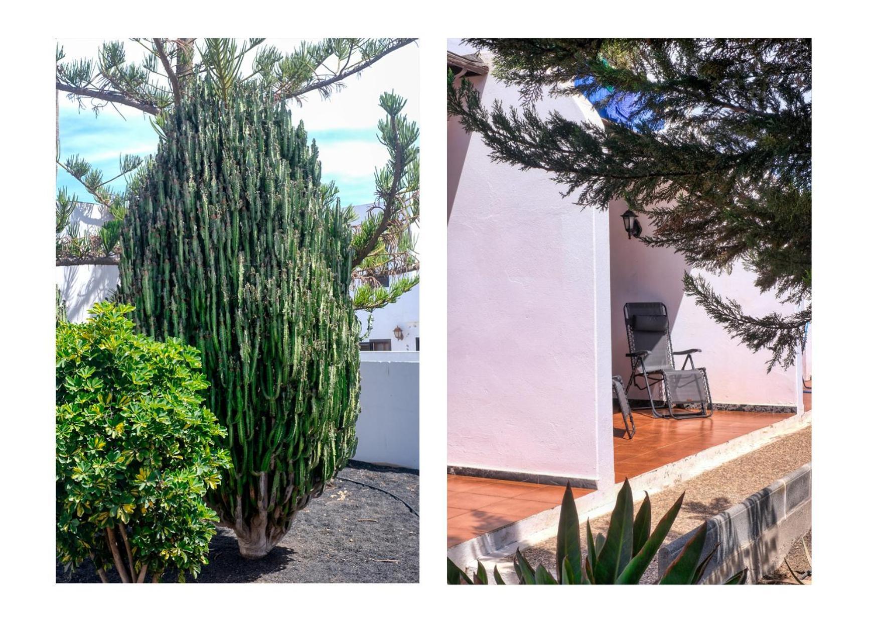 Suite Abora Relax A 500M De La Playa Wifi Fibra ปูแอร์โตเดลคาร์เมน ภายนอก รูปภาพ